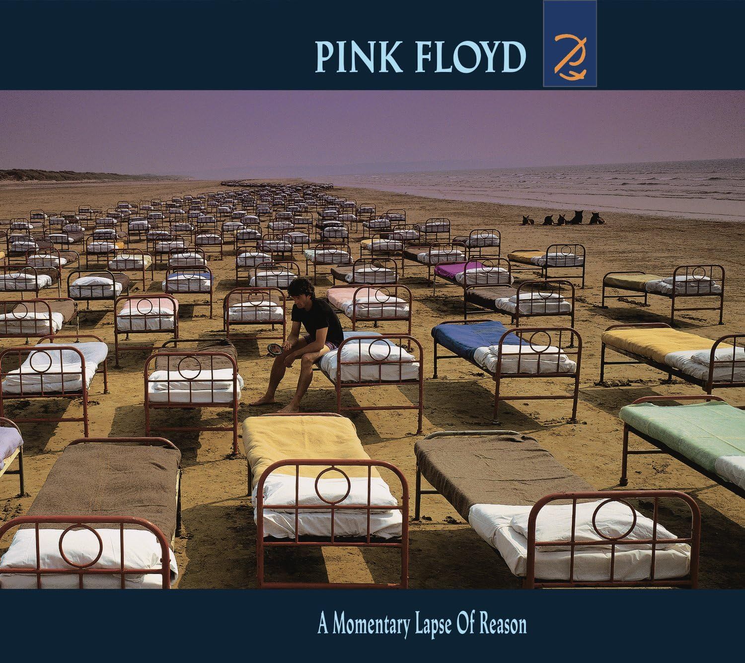 Pink Floyd - A Momentary Lapse of Reason (CD)