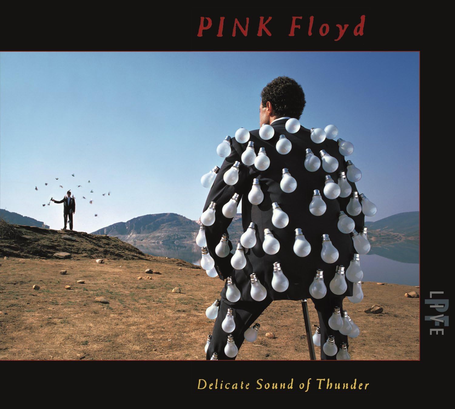 Pink Floyd - Delicate Sound of Thunder (2CD)