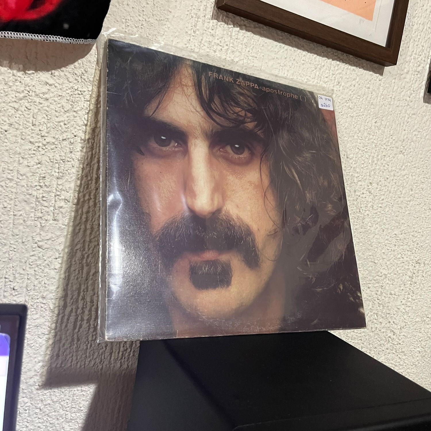 Zappa - Kevin