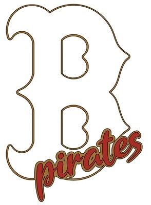Vehicle Decal