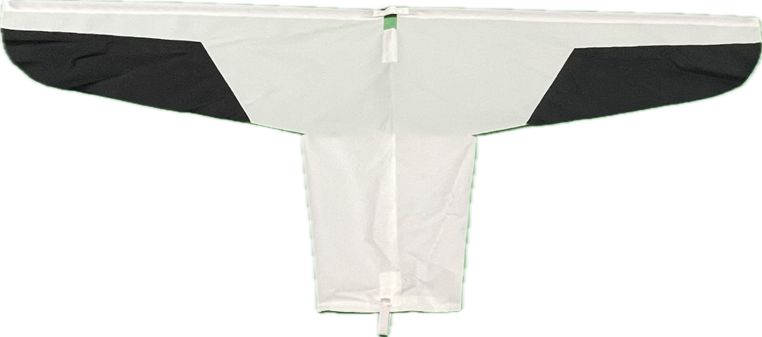 Snow Flag