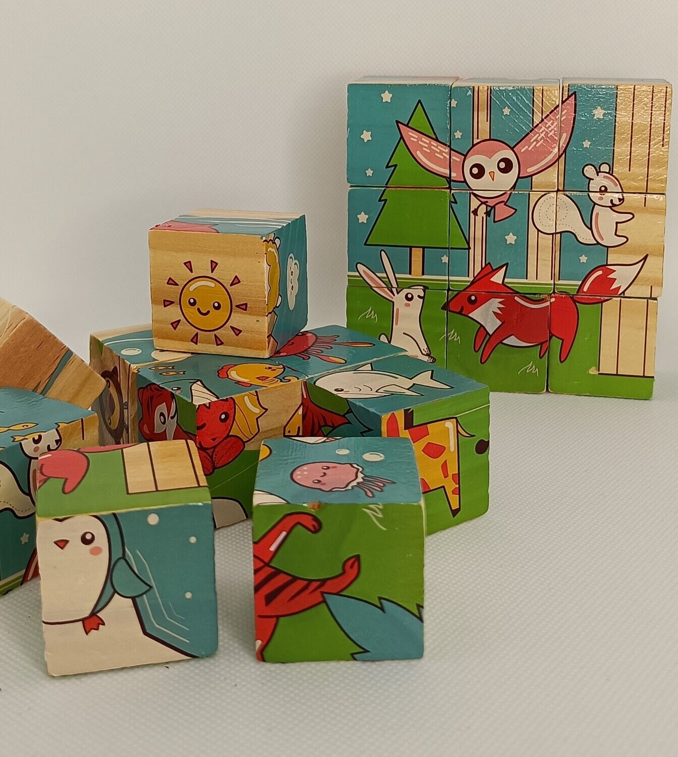 Puzzle 6 Facce
