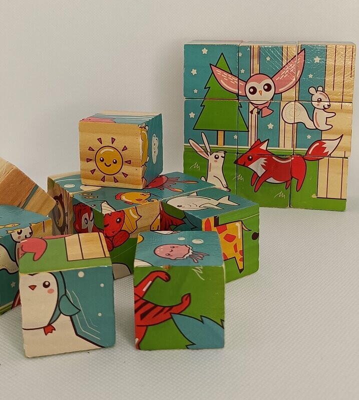 Puzzle 6 Facce