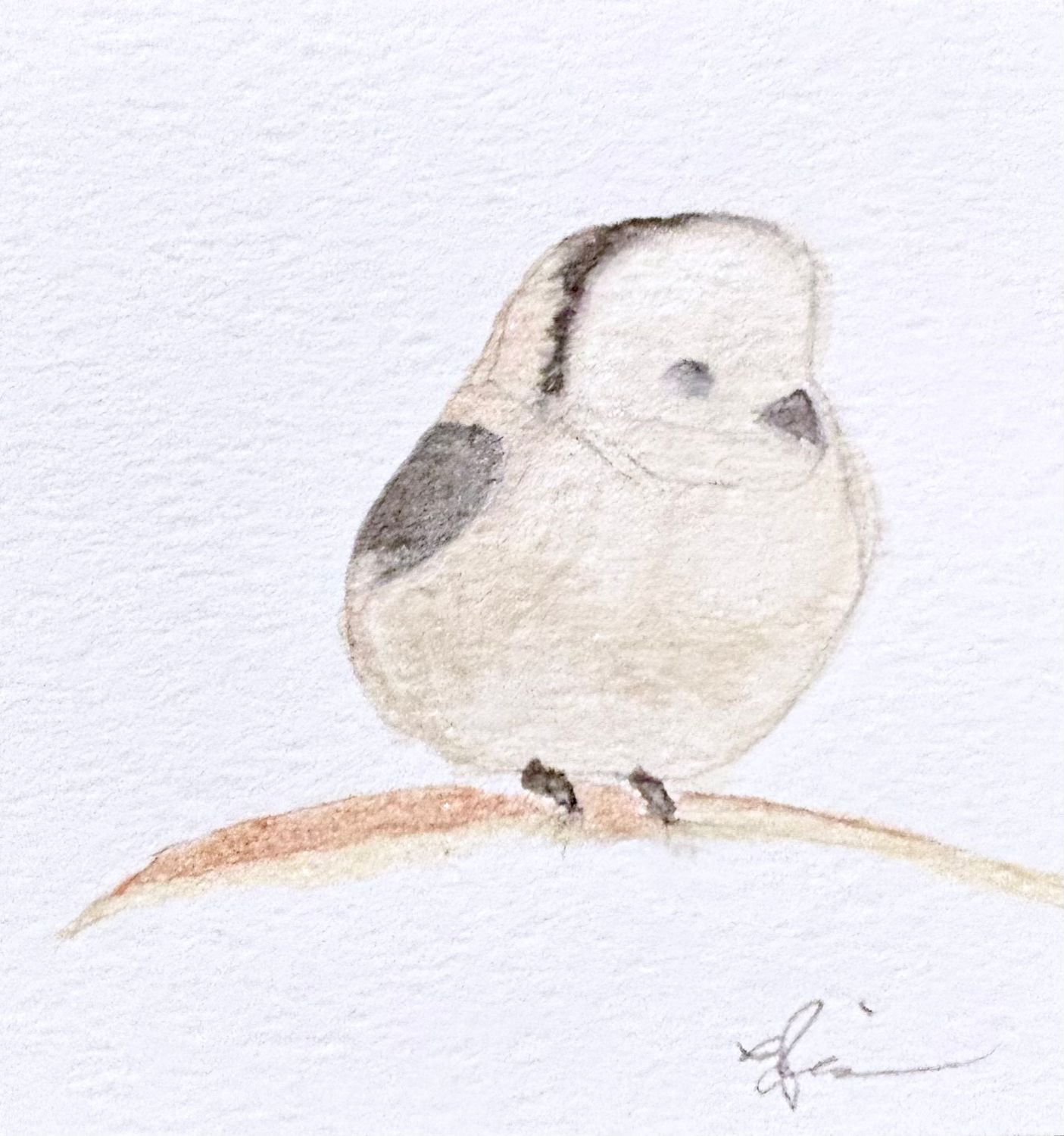 Minimalist watercolor shima enaga bird illustration, small original hand-painted artwork
