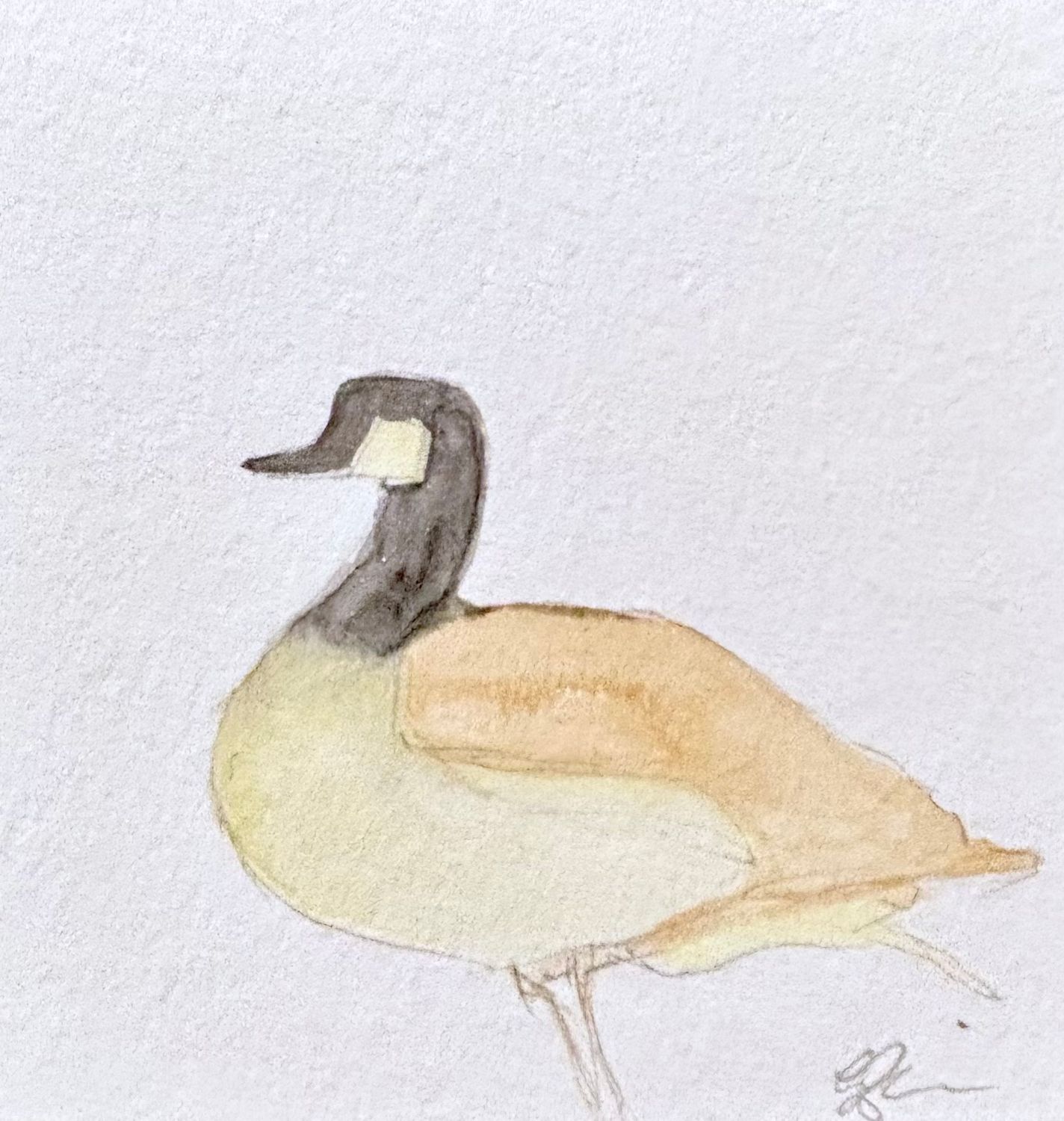 Small original watercolor Canada Goose bird painting in a whimsical, hand-painted style