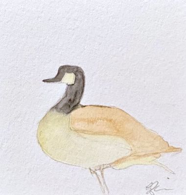 Small original watercolor Canada Goose bird painting in a whimsical, hand-painted style