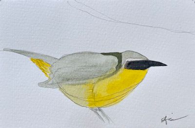 Whimsical watercolor painting of a small Common Yellowthroat bird perched, hand-painted original art
