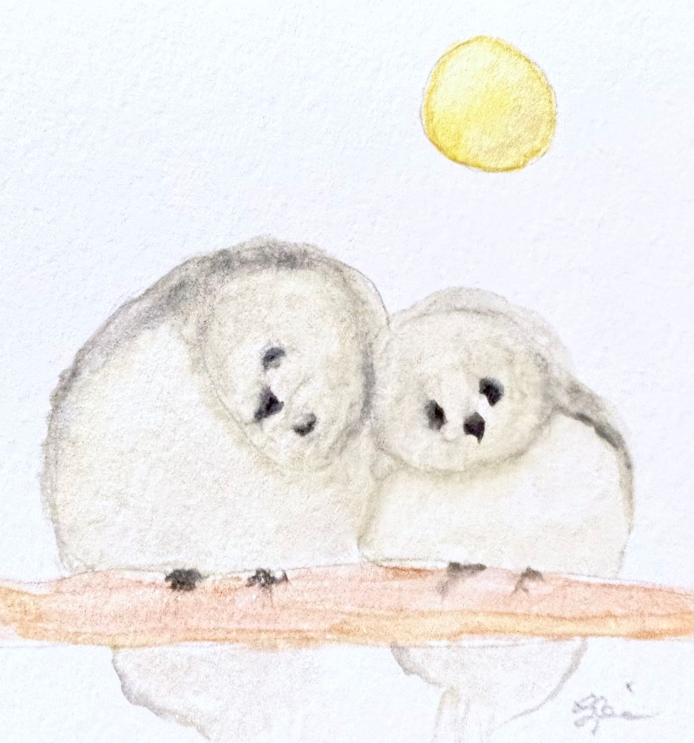 Minimalist watercolor two small birds perched together illustration, small original hand-painted artwork