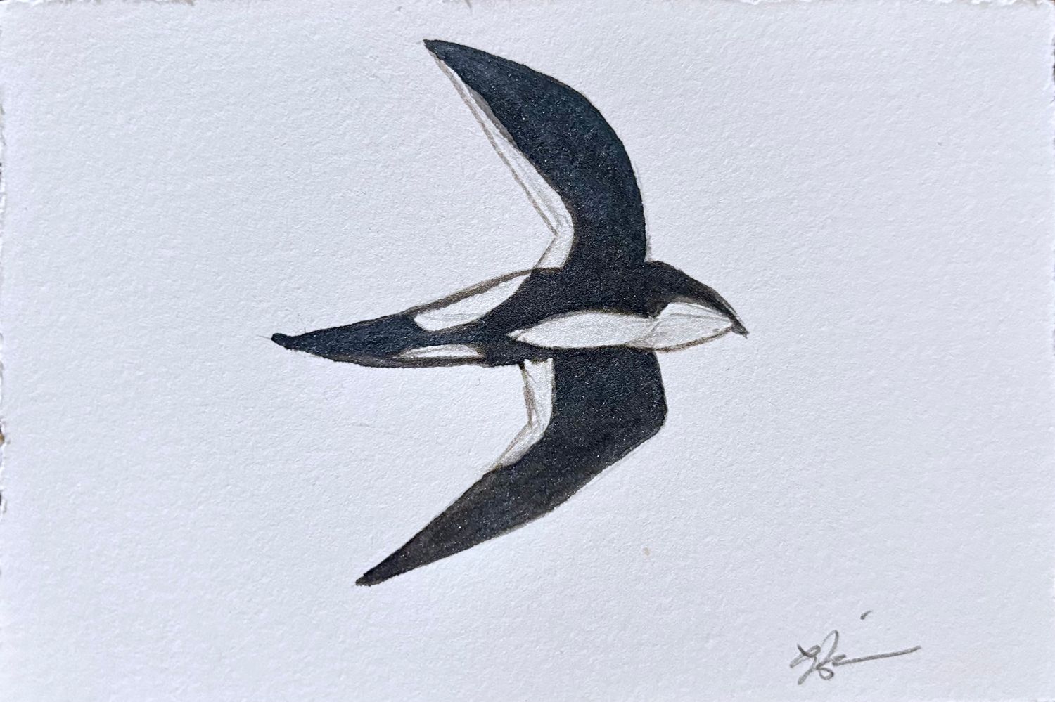 Minimalist watercolor black and white bird flying illustration, small original hand-painted artwork