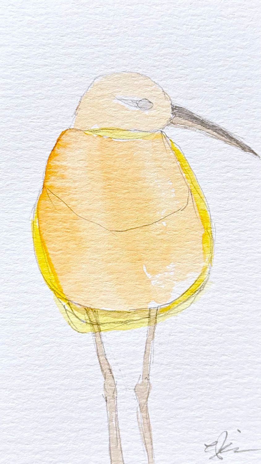 Minimalist watercolor sandpiper bird illustration, small original hand-painted artwork


