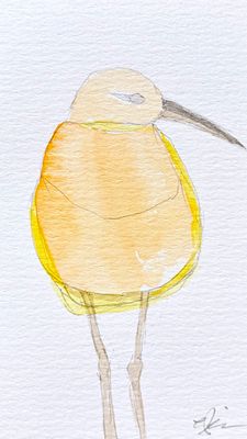 Minimalist watercolor sandpiper bird illustration, small original hand-painted artwork

