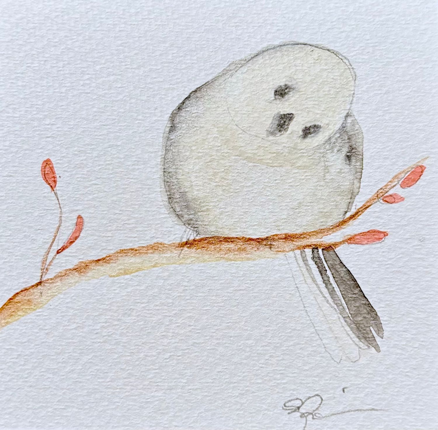 Minimalist watercolor shima enaga bird illustration, small original hand-painted artwork
