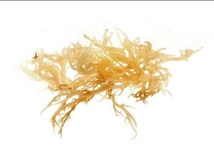 Dulse Bio 1Kg