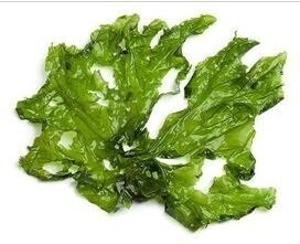 Laitue de Mer Bio déshydratée, pailettes, 1Kg