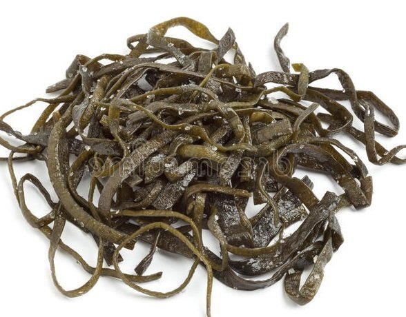 Haricots de Mer Bio déshydratés 1Kg