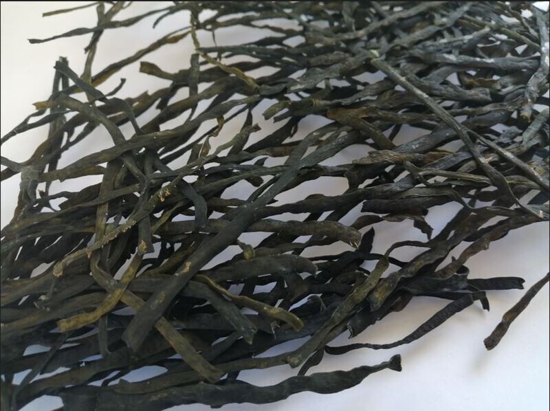Haricots de Mer Bio déshydratés 1Kg