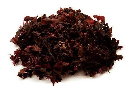 Dulse deshydratée - pailettes fines