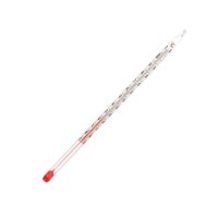 Water Thermometer