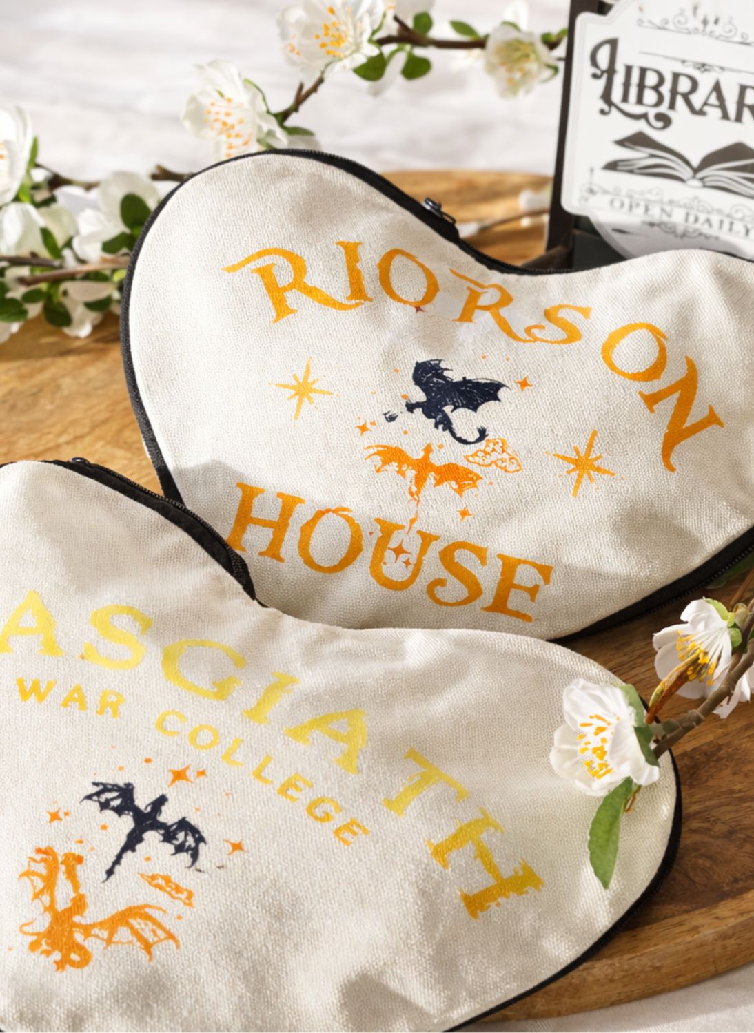 Survis à Basgiath… et emporte tes secrets. Pochette Fourth wing 🐉