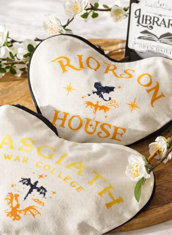 Survis à Basgiath… et emporte tes secrets. Pochette Fourth wing 🐉