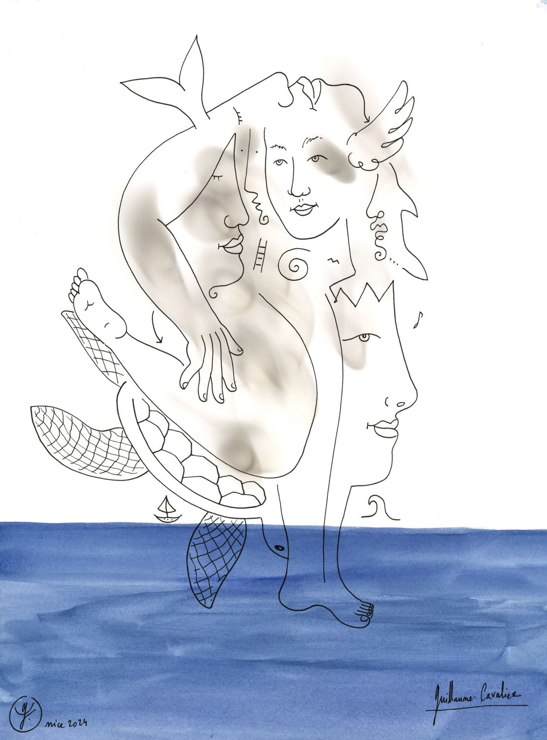 "Tortue de mer"