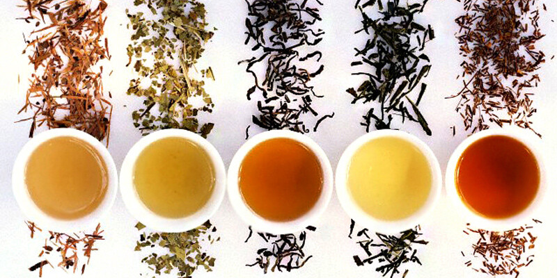 Infusiones