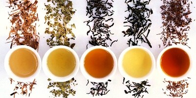 Infusiones