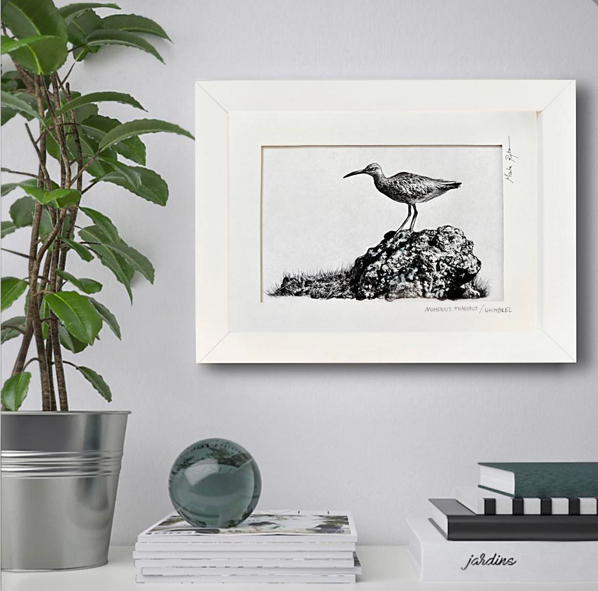 Whimbrel