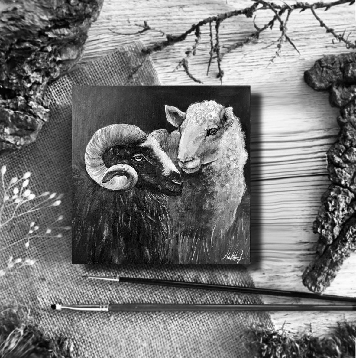 Icelandic Sheeps