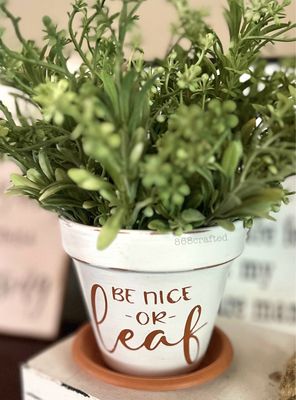 Pun Pots With Saucer