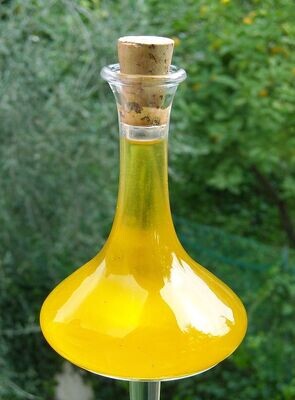 Plant or Carrier Oils