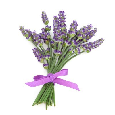 Lavender Essential Oil_1/2 Oz (15 Ml)