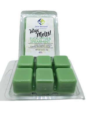Soy Blend | Wax Melt | 2.5 Oz Net Wt | 1 Pack only with 6 Snappable Cubes in Clamshell | Eucalyptus and Spearmint | Home Fragrance