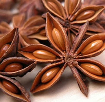 Anise Essential Oil_1/2 Oz