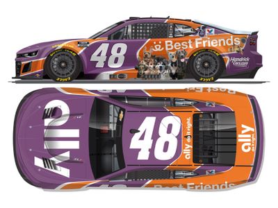 PRE-ORDER - $115 - Alex Bowman 2025 Ally Best Friends 1:24 Elite Nascar Diecast