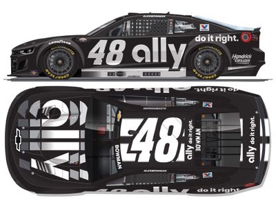 PRE-ORDER - $115 - Alex Bowman 2025 Ally Throwback 1:24 Elite Nascar Diecast