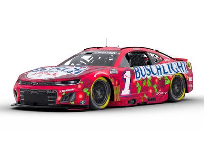 PRE-ORDER - $110 - Ross Chastain Autographed 2025 Busch Light Apple 1:24 Nascar Diecast
