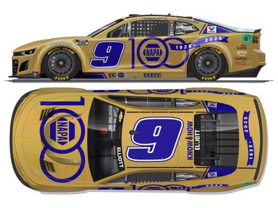 PRE-ORDER - $125 - CHASE ELLIOTT 2025 NAPA GOLD 1:24 Elite Nascar DIECAST PRE-ORDER - $125 - CHASE ELLIOTT 2025 NAPA GOLD 1:24 Elite Nascar DIECAST