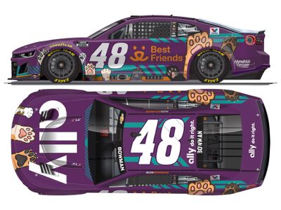 PRE-ORDER - Alex Bowman 2026 Ally Best Friends 1:24 Nascar Diecast