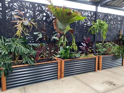 Plant-It Boxes