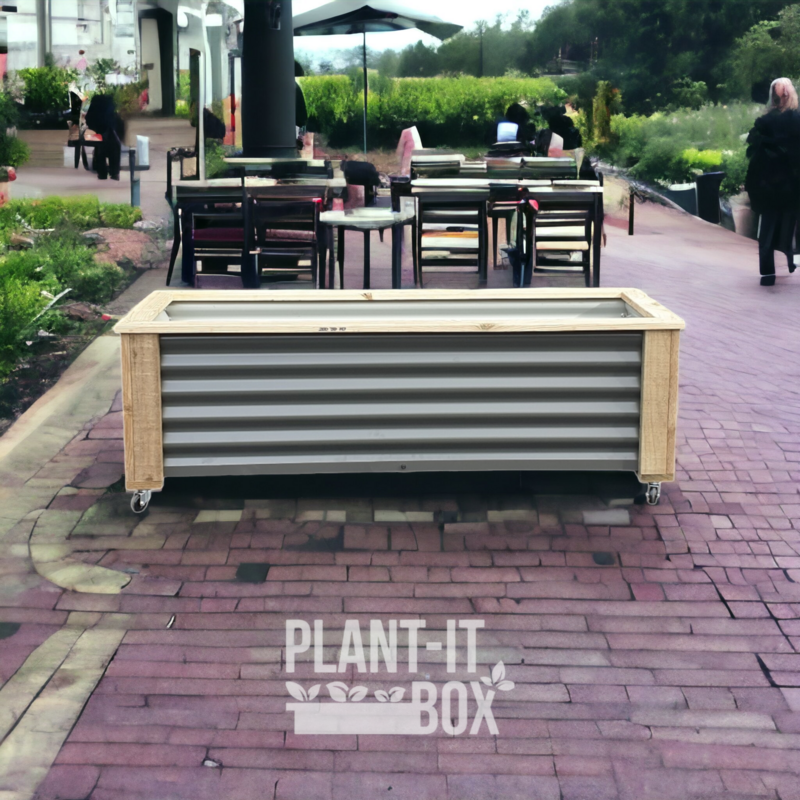 Planter on Castors