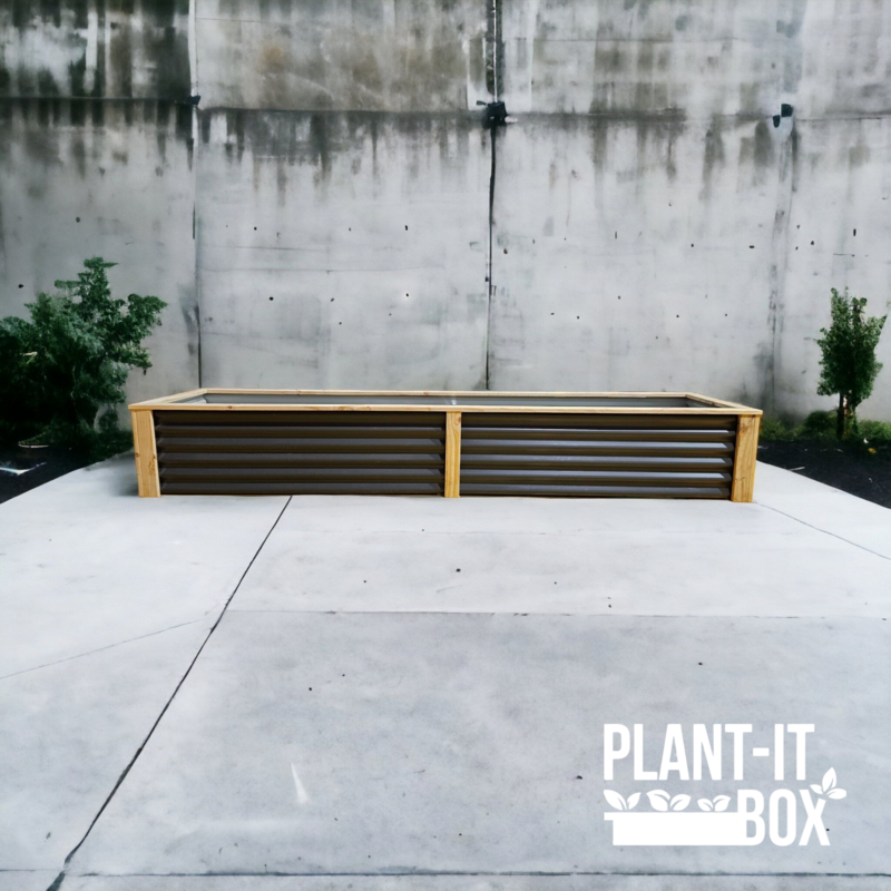 XXL Planter
