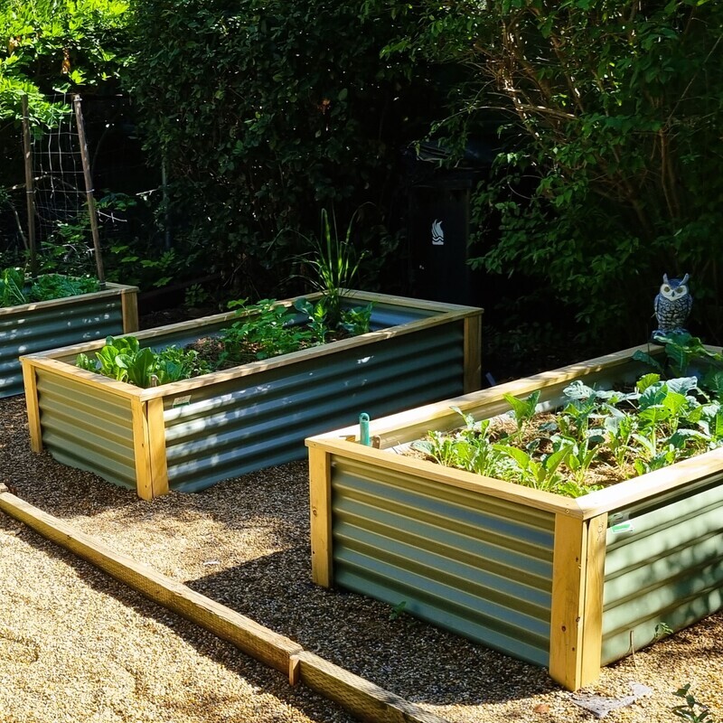 Small Veggie Planter