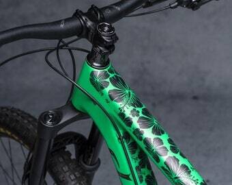 Bike Protecction
