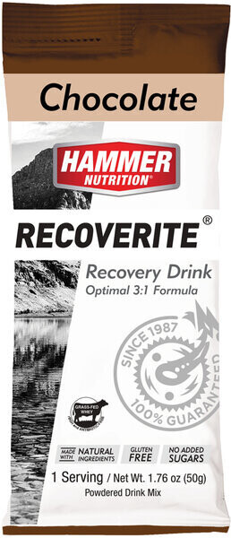 Hammer Recoverite: Chocolate 1.76oz - 50g