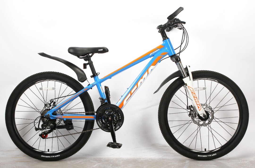 RoyalBaby ROYALLOY 24'' MTB 1.0 Blue Orange