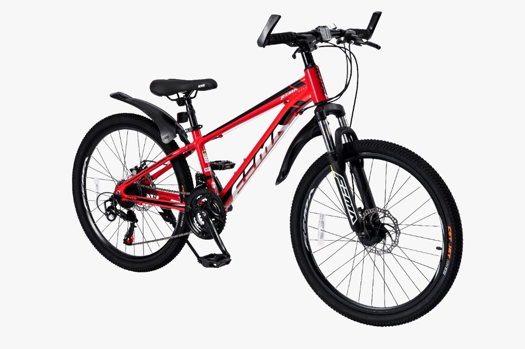RoyalBaby ROYALLOY 24'' MTB