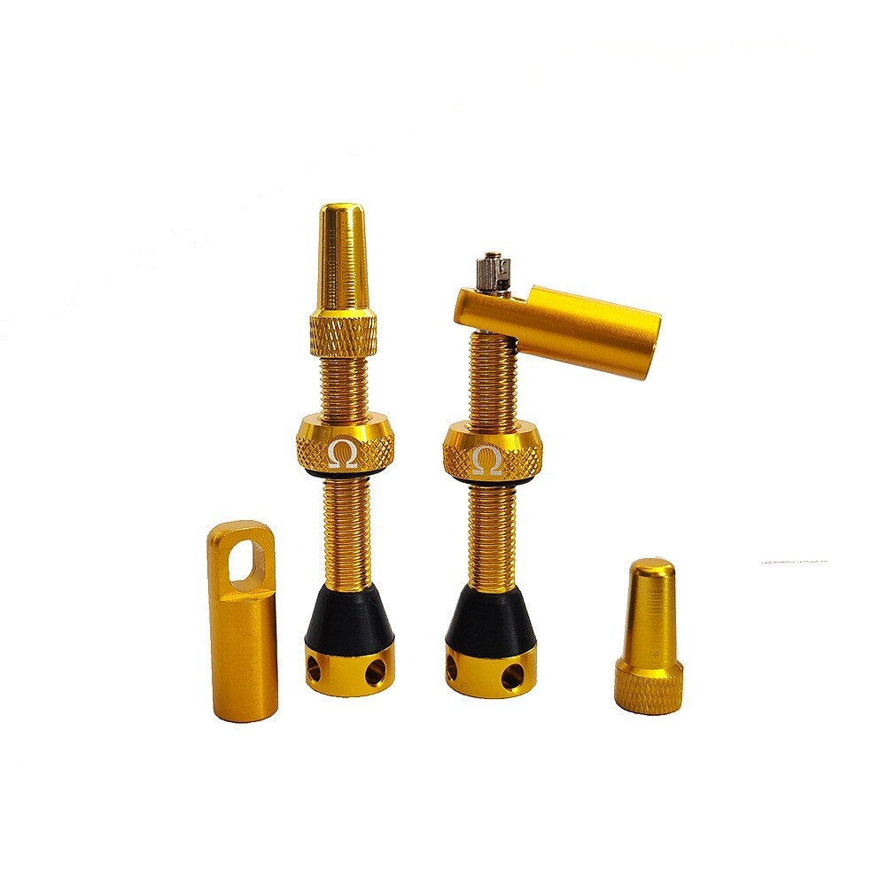 Omega Tubless Valve Gold 44mm