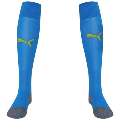 Puma Team Liga Socks Blue