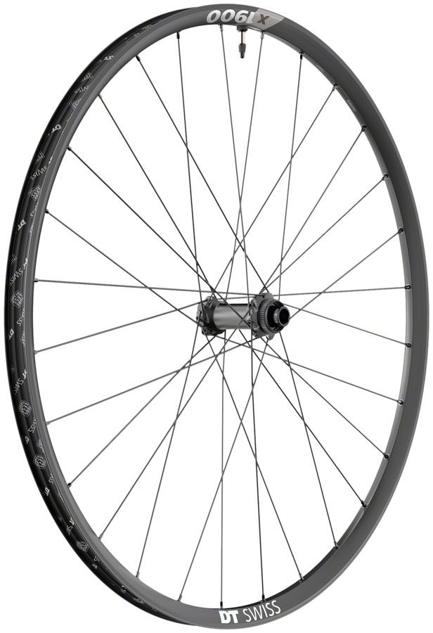DT Swiss X 1900 Spline 25 Front Wheel - 29&quot;, 15 x 100mm, Center-Lock, Black